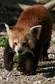 Zoo Schmiding 009
